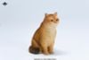 British Shorthair B | JXK Studio Figure