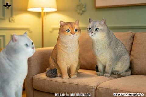 British Shorthair C | JXK Studio Figure
