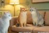 British Shorthair C | JXK Studio Figure
