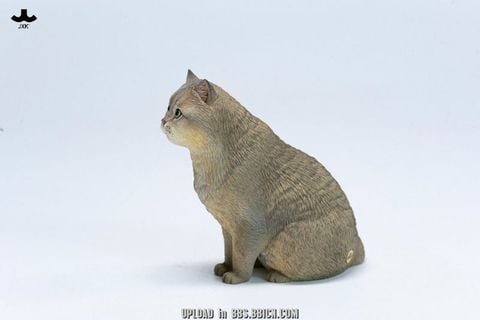 British Shorthair C | JXK Studio Figure