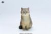 British Shorthair C | JXK Studio Figure