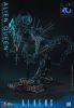 Alien Queen 1/6 - Aliens | Hot Toys Figure