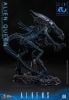 Alien Queen 1/6 - Aliens | Hot Toys Figure