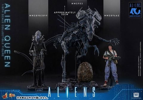 Alien Queen 1/6 - Aliens | Hot Toys Figure