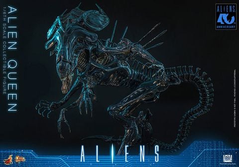 Alien Queen 1/6 - Aliens | Hot Toys Figure