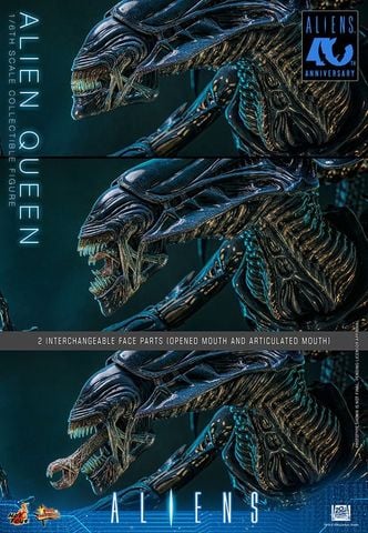Alien Queen 1/6 - Aliens | Hot Toys Figure