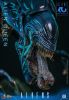 Alien Queen 1/6 - Aliens | Hot Toys Figure