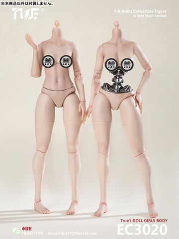 Semi mechanical Female Body Medium Bust 1/6 | True 1 Toys Figure