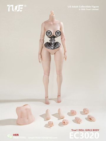 Semi mechanical Female Body Medium Bust 1/6 | True 1 Toys Figure
