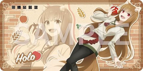 Holo DX ver. Special Set - Spice and Wolf MERCHANT MEETS THE WISE WOLF | KADOKAWA Plastic Model