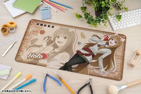 Holo DX ver. Special Set - Spice and Wolf MERCHANT MEETS THE WISE WOLF | KADOKAWA Plastic Model