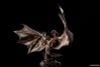 PLAfig. No.PF 05 Rathalos - Monster Hunter | Aoshima Plastic Model