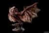 PLAfig. No.PF 05 Rathalos - Monster Hunter | Aoshima Plastic Model