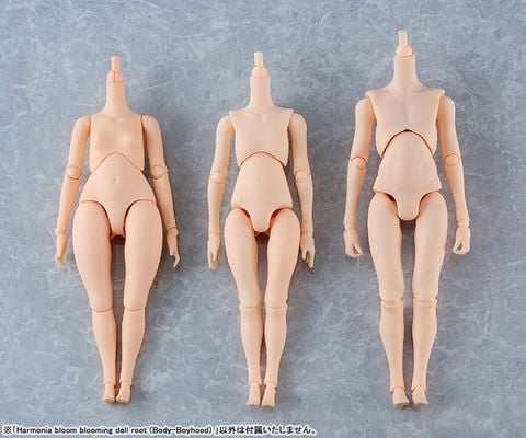Harmonia Bloom Blooming Doll Root Body Boyhood | Good Smile Company Figure