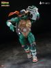 Michelangelo Alloy Posable Deluxe Edition - Teenage Mutant Ninja Turtles | HeatBoys Figure