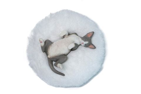 Relaxed Devon Rex A | JXK Studio Figure