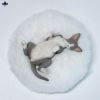 Relaxed Devon Rex A | JXK Studio Figure