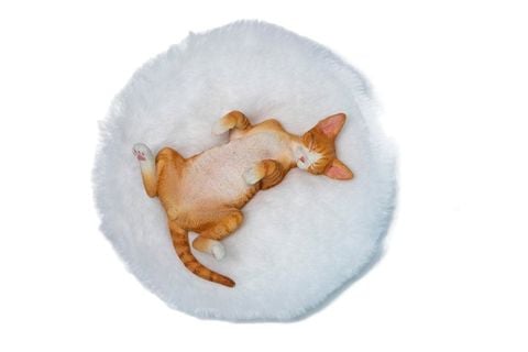 Relaxed Devon Rex B | JXK Studio Figure