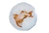 Relaxed Devon Rex B | JXK Studio Figure