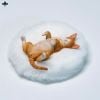 Relaxed Devon Rex B | JXK Studio Figure