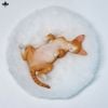 Relaxed Devon Rex B | JXK Studio Figure