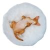 Relaxed Devon Rex B | JXK Studio Figure