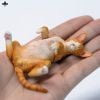 Relaxed Devon Rex B | JXK Studio Figure
