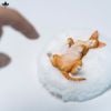 Relaxed Devon Rex B | JXK Studio Figure