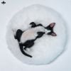 Relaxed Devon Rex C | JXK Studio Figure