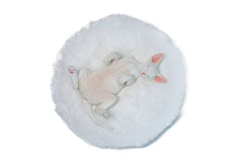 Relaxed Devon Rex D | JXK Studio Figure