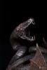 Messmer's Helm 1/3 Mini Replica - Elden Ring | Pure Arts Goods