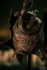 Messmer's Helm 1/3 Mini Replica - Elden Ring | Pure Arts Goods