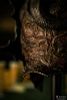 Messmer's Helm 1/3 Mini Replica - Elden Ring | Pure Arts Goods