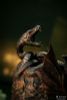 Messmer's Helm 1/3 Mini Replica - Elden Ring | Pure Arts Goods