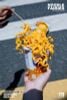 Noodle Fairies Seafood Flavor | WE ART DOING Figure