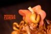Noodle Fairies Original Sauce | WE ART DOING Figure