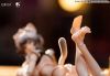 Little Pudding Cat Maid 1/12 | BearPanda Figure