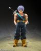 S.H.Figuarts Trunks [Z Warrior] w/First Press Exclusive [Z Warriors] Group Base B Edition - Dragon Ball Z | BANDAI SPIRITS Figure
