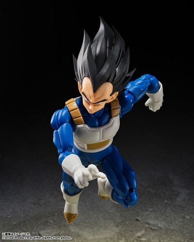 S.H.Figuarts Vegeta Z Warrior - Dragon Ball Z | BANDAI SPIRITS Figure
