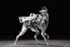 Zatard Hound Tactical Support Variant | SEXYiCE Figure