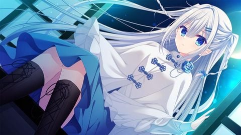 PC Game D.C.5 to 4 Luminous Memories First Press Edition | CIRCUS Goods