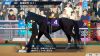 Derby Stallion 2 Nintendo Switch 2 | Game Addict Goods