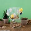 Tobimasu Dragon Ball vol.2 - Son Goku, Vegeta, Majin Buu và các nhân vật khác | MegaHouse Goods