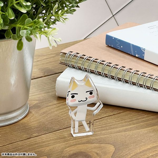 The official website for COSPA is `https//www.cospa.com/`. I will use this URL.Acrylic Block Toro - Dokodemo Issho | COSPA Goods