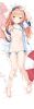 Sarami Hugging Pillow Cover Renewal Edition | HobbyJAPAN Goods