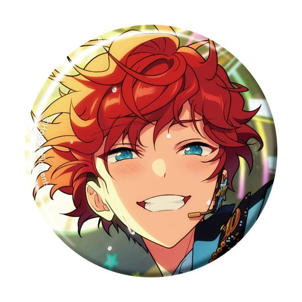 Ensemble Stars!! Collection Tin Badge Idol Side 13Pack BOX - pattythree Goods