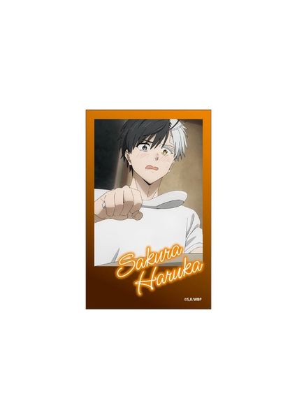 Instant Photo Style Bromide Collection Vol.5 9Item Set WIND BREAKER | Aniplex CloverWorks Goods