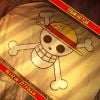 ONE PIECE Recruitment Kit - ONE PIECE by Netflix | Doctor Collector Goods