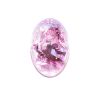 Fairy Tale Paradox Denia Themed Gift Box - Wuthering Waves | KURO GAMES Goods