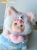 Nhồi Bông LOVE ANGEL FOXBONANA - Bonana Series | FRIENDSHEEP Plushie